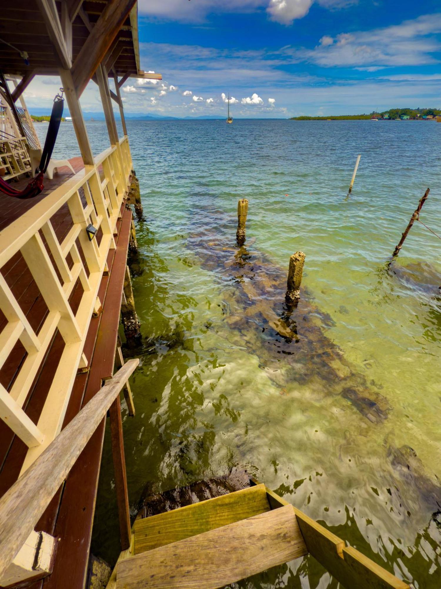 Saigon Bay Bed & Breakfast Bocas Town Szoba fotó